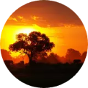 Democratic Republic Of The Congo New Tab icon