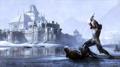 The Elder Scrolls Online: Tamriel Unlimited — скриншот 7