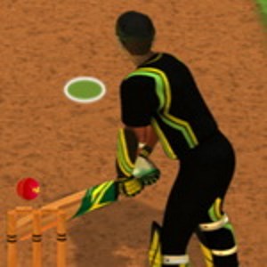 Cricket Batter Challenge Future