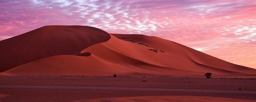 Beautiful Desert Wallpaper New Tab marquee promo image