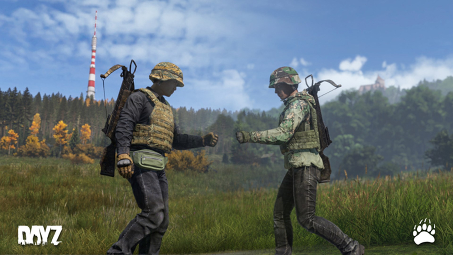 DayZ Redux