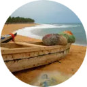 Togo Wallpaper New Tab icon