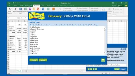 Professor Teaches Excel 2016 screenshot 6