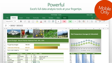 Excel Mobile Screenshot
