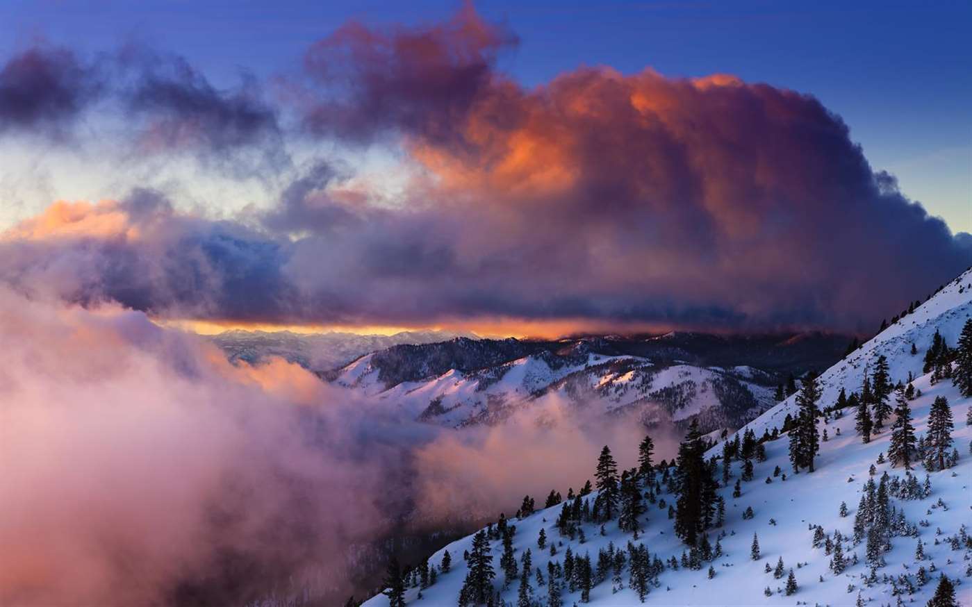 微软又发三款Win 10壁纸包：雨伞/滑雪/春天艺术