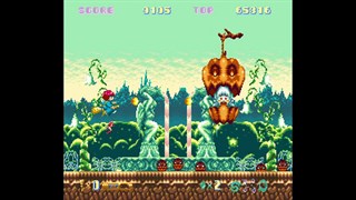Cotton 100% screenshot 5