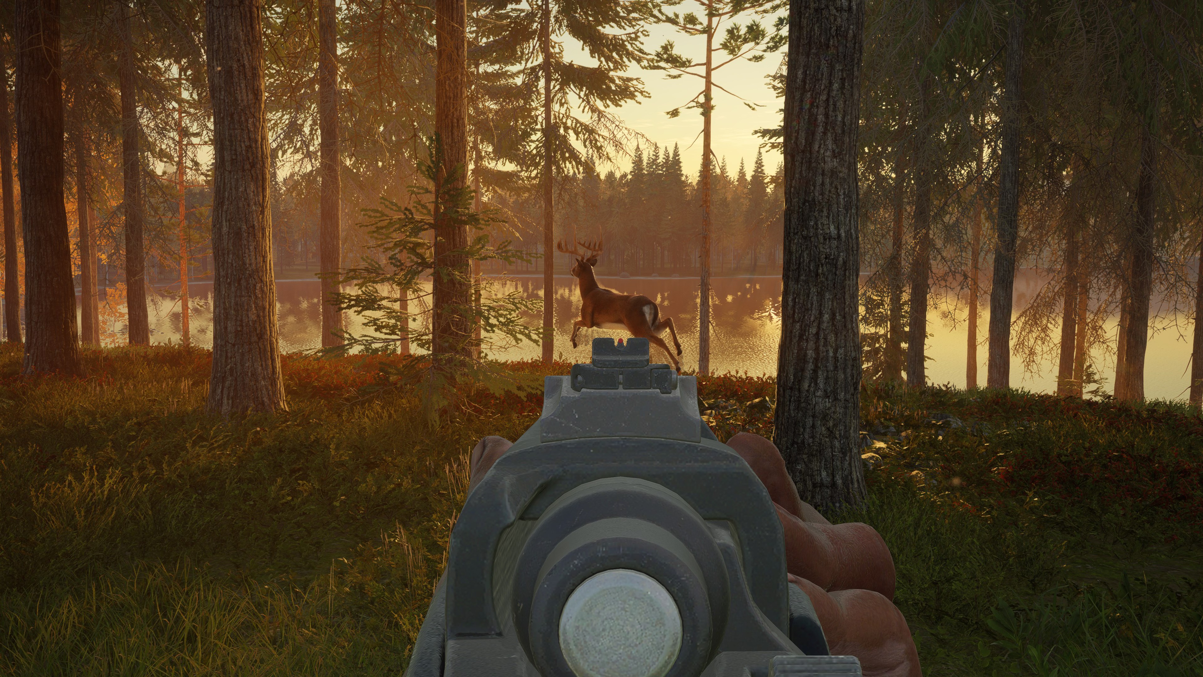 скачать the hunter call of the wild steam rip фото 12