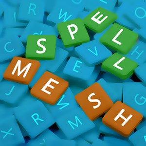 SpellMesh