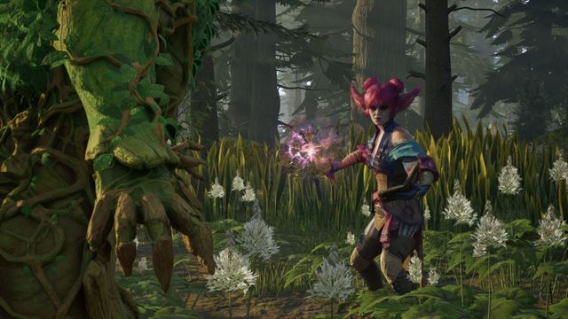 Avowed Standard Edition screenshot 6