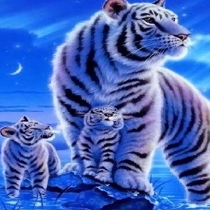 Get Tiger HD Wallpaper Background - Microsoft Store en-NG