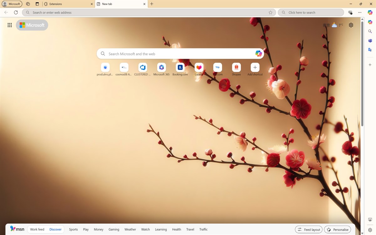 New Year Blossoms