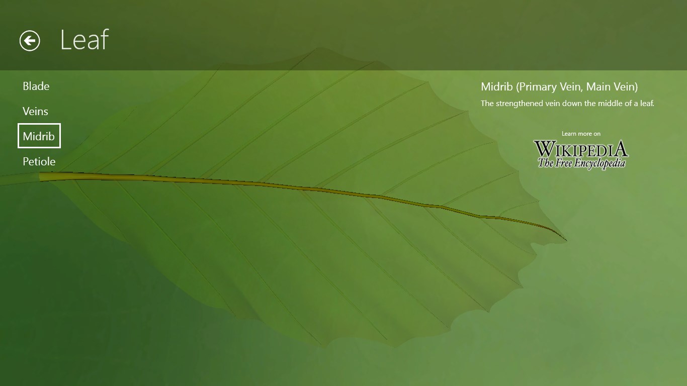 Leaf interactive page