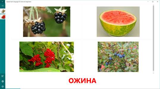 iSpeak learn Ukrainian language flashcards with words and tests screenshot 3