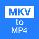 MKV to MP4 Converter...