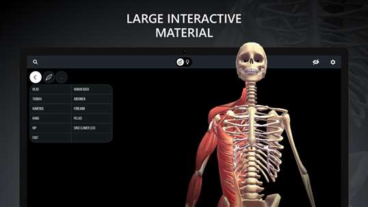 Discover Human Body - Anatomy and Physiology screenshot 4