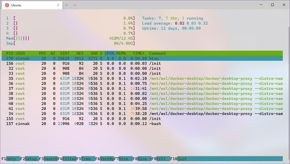 Windows Terminal_3