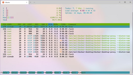 Windows Terminal screenshot 3