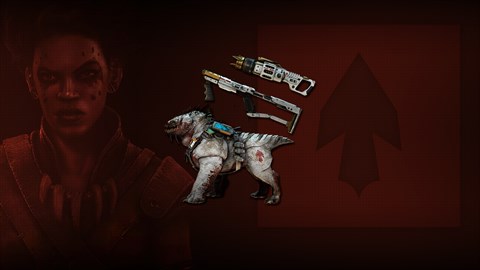 Maggie Victory Skin