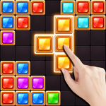 Block Puzzle (Pro)