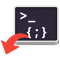 Custom Script Injector