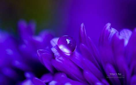 Liquid Jewels by Shilpa S Rao Screenshots 1