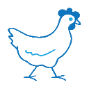 Rooster icon