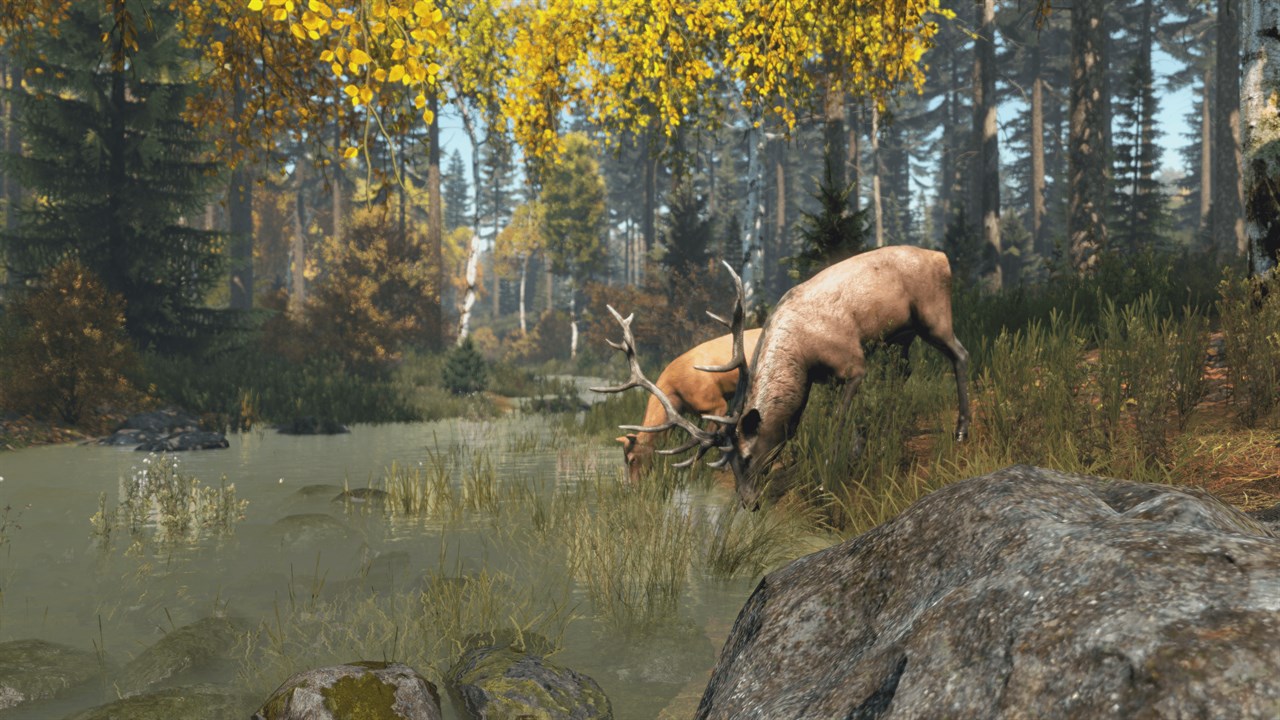 DayZ screenshot 11