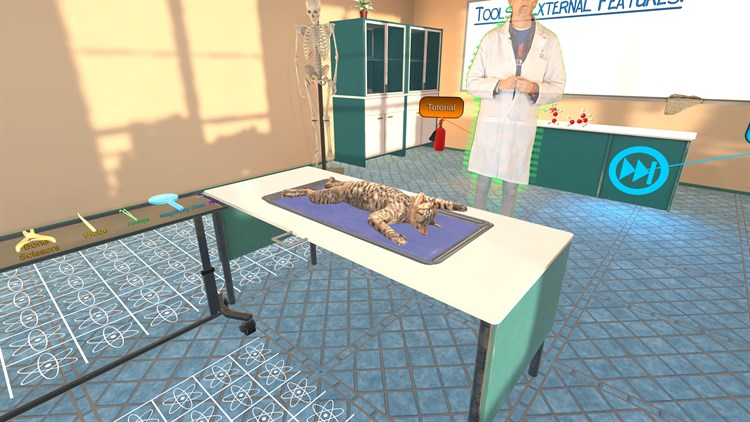 VR Cat Dissection: Purr-fect Procedure - PC - (Windows)