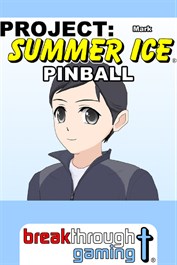 Project: Summer Ice Pinball (Mark Edition)