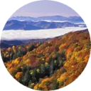 North Carolina Wallpaper New Tab icon