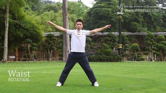 Tai Chi - A Master Class screenshot 6