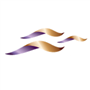 Evventa icon
