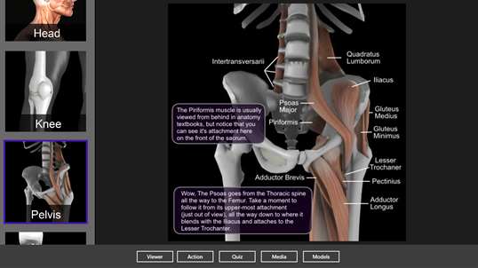 Muscle and Bone Anatomy 3D screenshot 8