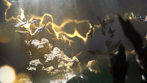 Endless Space 2: Lost Symphony