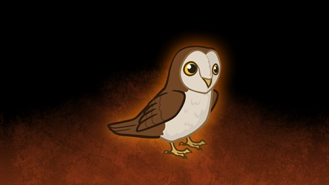 Pack Familier Hibou