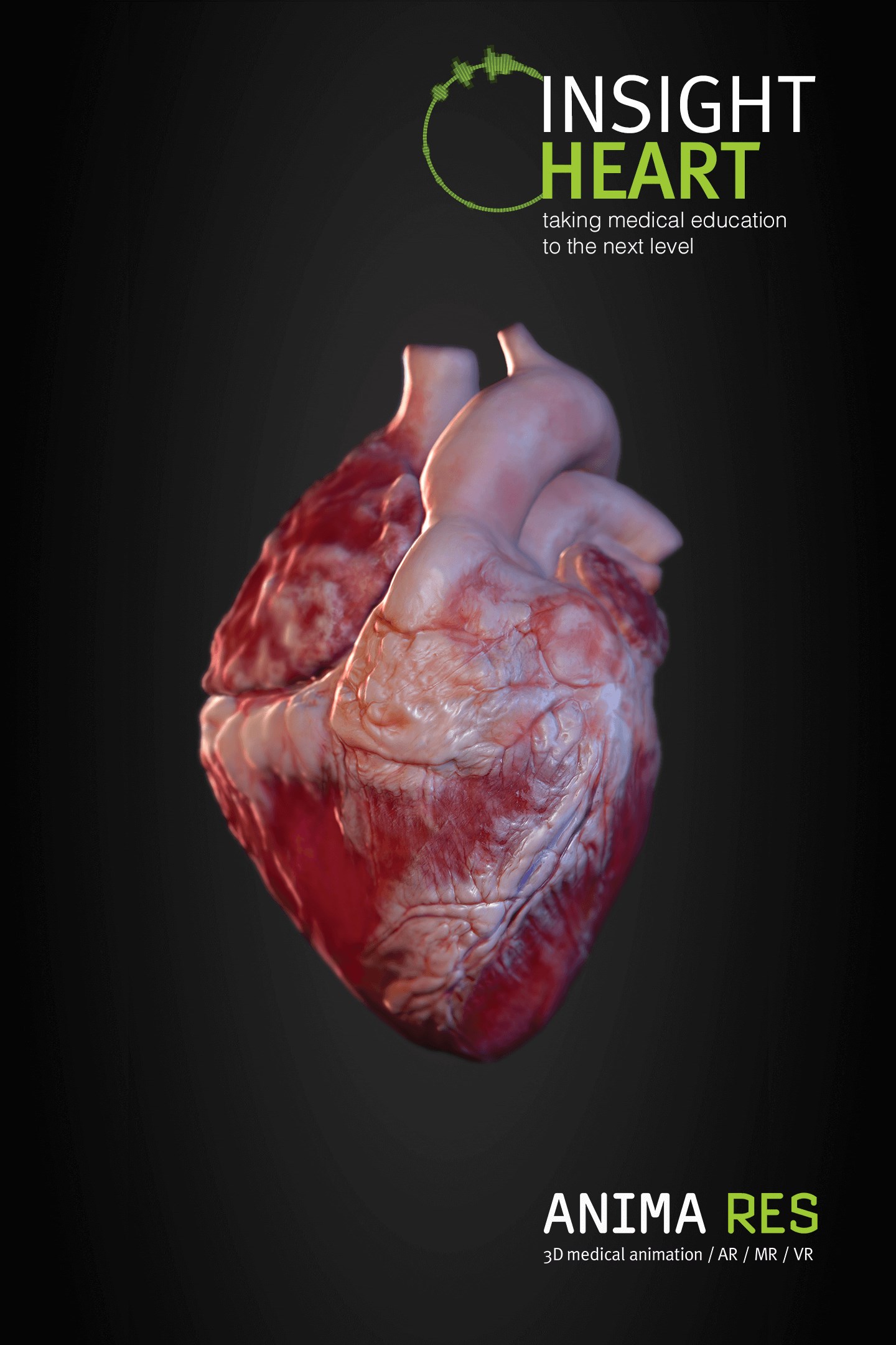 INSIGHT HEART VR