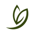 Web-Dictionary