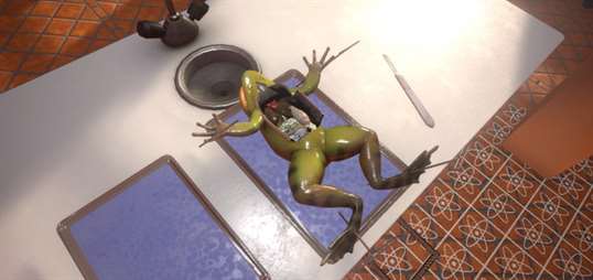 VR Frog Dissection: Ribbit-ing Discoveries screenshot 1