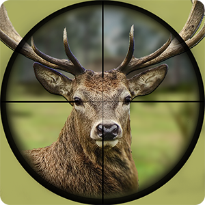 Deer Hunting: Animal Hunter 2019