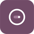 Odoo Dev Mode Toggle