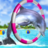 My Dolphin Show Time