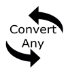 Convert Any
