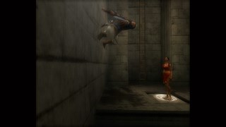 Prince of Persia: The Sands of Time screenshot 3