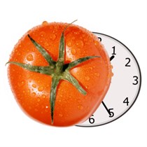 Pomodoro Study Timer - Microsoft Apps