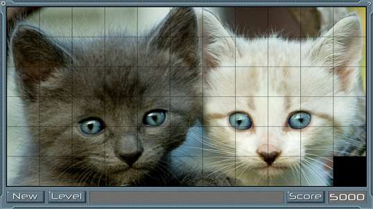 Cat Scratch screenshot 1