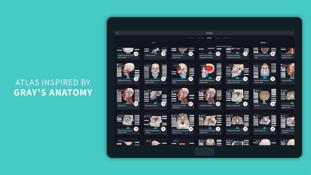 Complete Anatomy 2024_5
