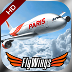Fly Wings - Flight Simulator Paris 2015 - Full HD