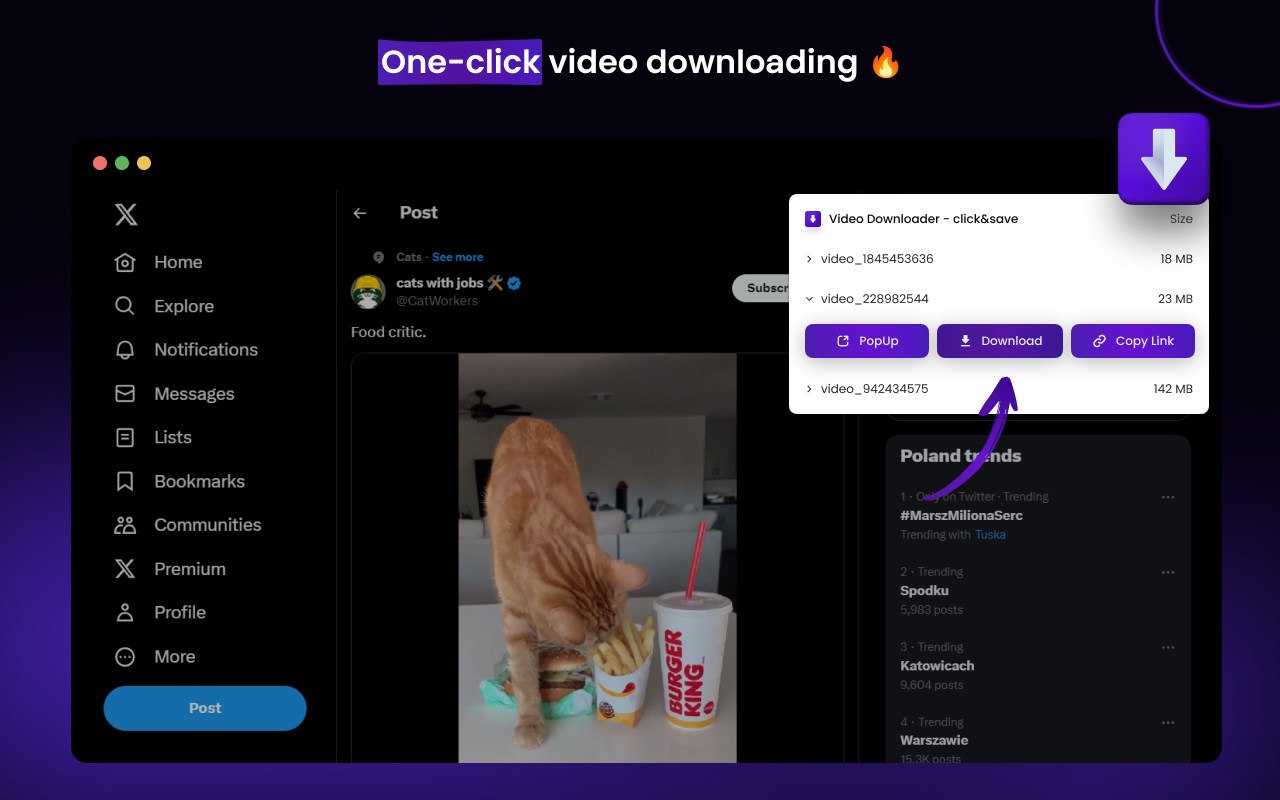 Video Downloader - click&save