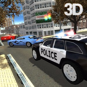 Police Driver vs Street Racer