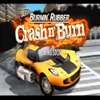 Burnin' Rubber Crash n' Burn